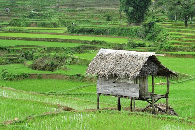 Active Volcano, Rice Field, Hot Spring, Fruit market, Tea Plantation with Lunch - Sundanese lunch, local coffee, and a welcome pause