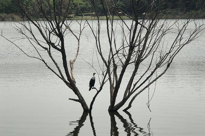 Addis City Tour & Crater Lakes excursions in Debreziet! - A smart way to combine Addis Ababa and Debrezeit