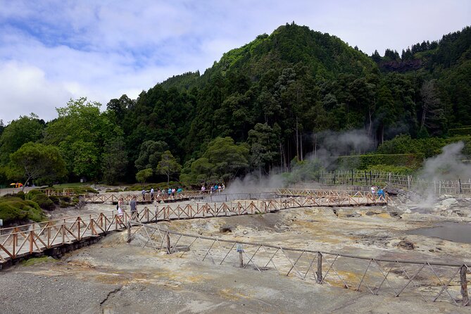 Adventure in the Furnas, with volcanoes, lagoons and tea plantations - The pineapple farm shows a different side of the island