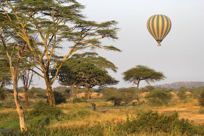 Affordable 3-Day Safari to Serengeti & Ngorongoro Crater - Key points at a glance