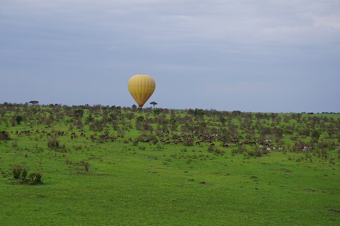 Affordable 3-Day Safari to Serengeti & Ngorongoro Crater - Day 3: Ngorongoro Crater and the search for black rhino
