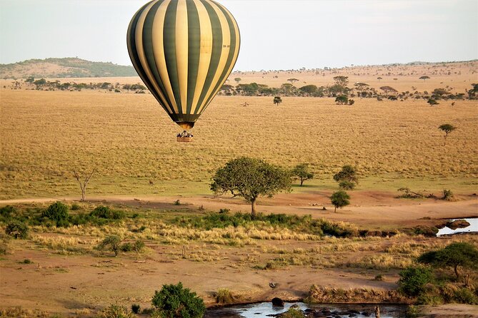 Affordable 3-Day Safari to Serengeti & Ngorongoro Crater - Camping, meals, and the real level of comfort