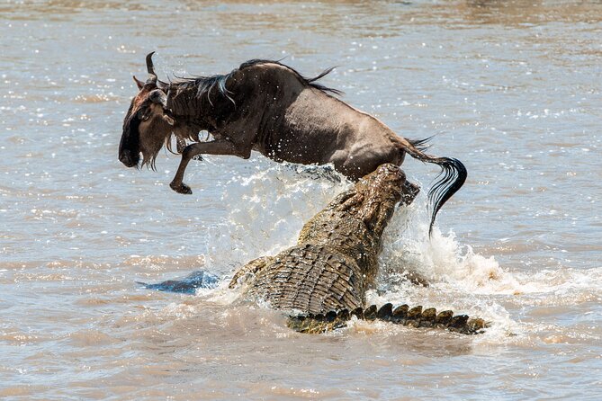 Affordable 3-Day Safari to Serengeti & Ngorongoro Crater - Is $780 a good value?