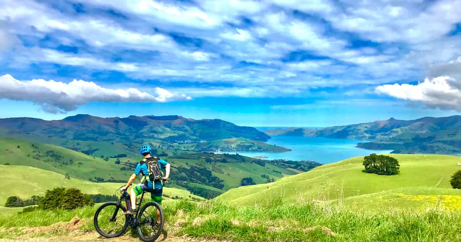 Akaroa: Guided Electric Mountain Bike Tour-Lava Loop - The descent back to sea level