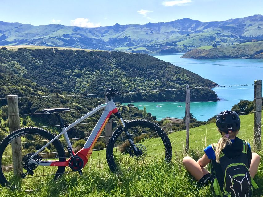 Akaroa: Guided Electric Mountain Bike Tour-Lava Loop - A guide-led ride rather than a simple bike rental