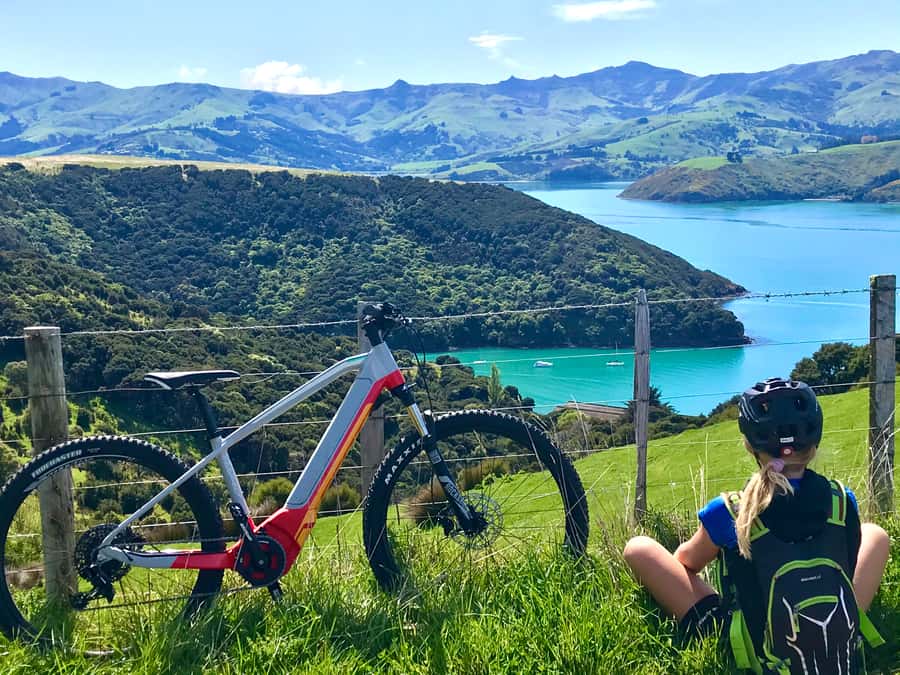 Akaroa: Guided Electric Mountain Bike Tour-Lava Loop - The climb: real exercise with a turbo button