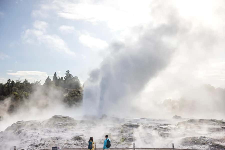 AKL: Te Puia Maori Haka, Kiwi Birds, Redwood & Blue Springs - Why Te Puia is worth the long ride from Auckland
