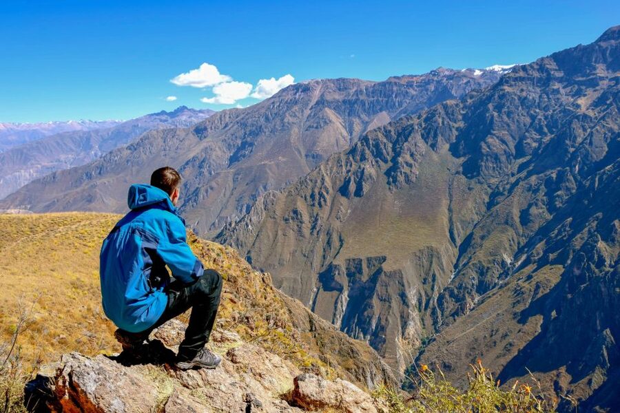Andes: Colca Canyon Day-Trip - Key points to know before booking
