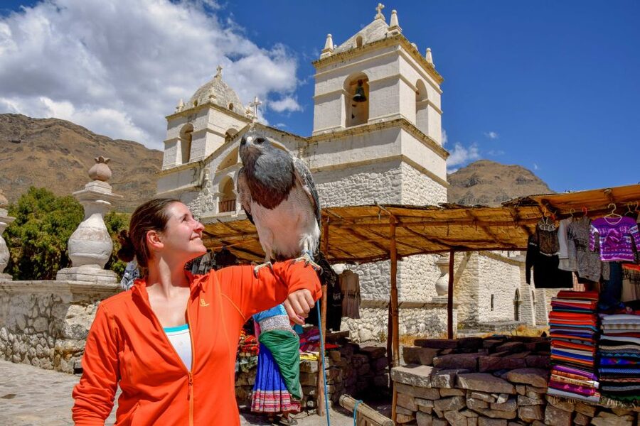 Andes: Colca Canyon Day-Trip - Why the condors make the early start worthwhile