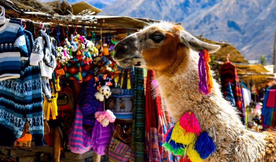 Andes: Colca Canyon Day-Trip - Toqrapampa lagoons and Pampa Cañahuas