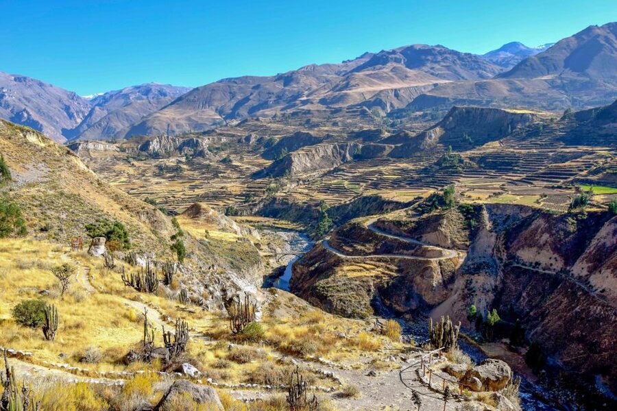 Andes: Colca Canyon Day-Trip - Who will get the most from this Colca Canyon trip