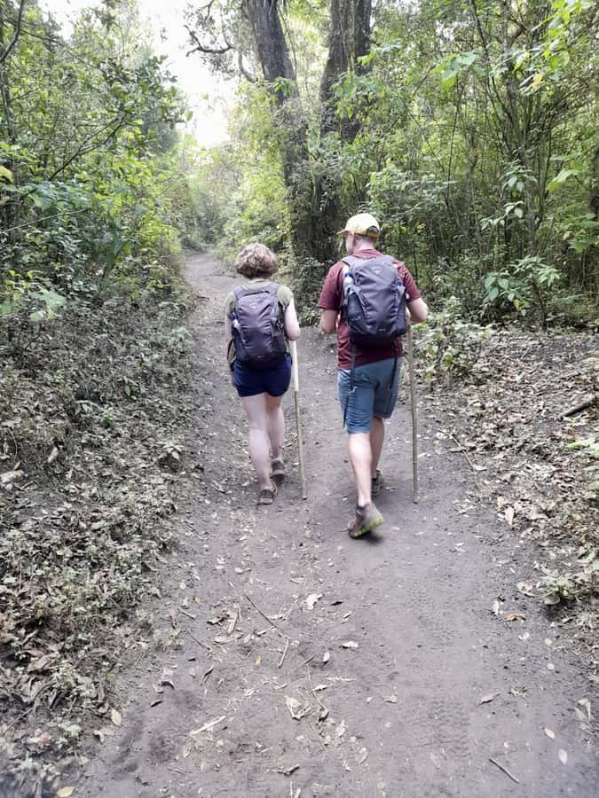 Antigua Guatemala: Private Day Tour to Pacaya Volcano - Reaching the volcanic high point