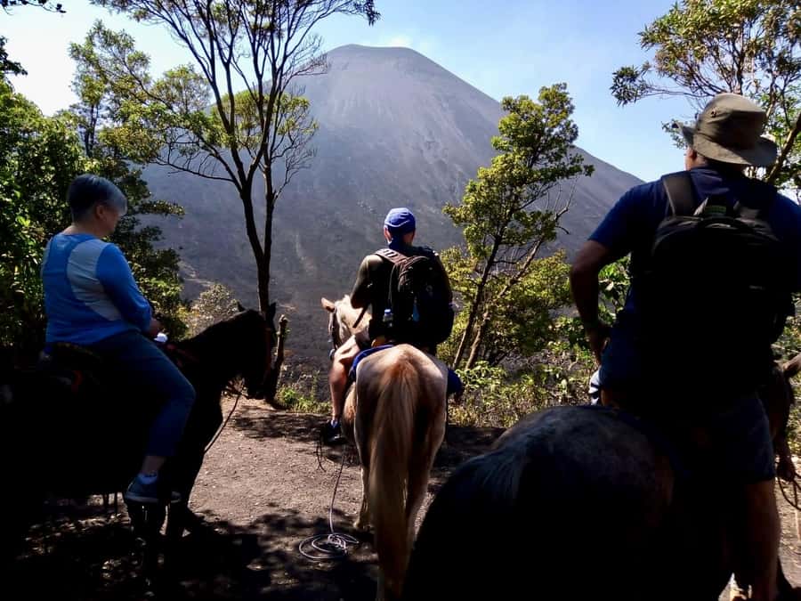 Antigua Guatemala: Private Day Tour to Pacaya Volcano - Final call: book it for a focused volcano day