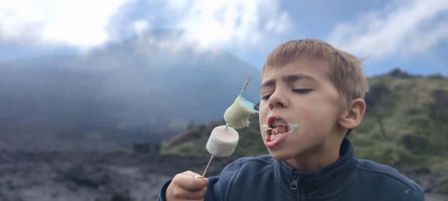 Antigua: Marshmallows Roasting at Pacaya Volcano 6-hour Tour - Early or afternoon departure from Antigua
