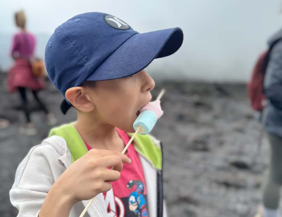 Antigua: Marshmallows Roasting at Pacaya Volcano 6-hour Tour - The two-hour climb to the volcanic viewpoint