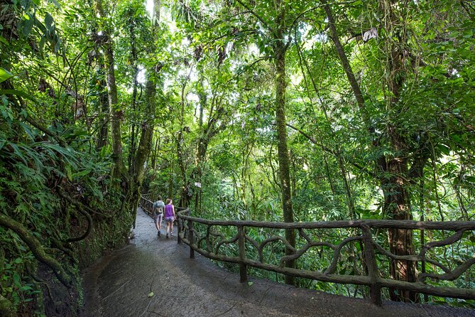 Arenal Hanging Bridges, Guided Walk, Hot Springs Optional - A two-hour walk through three forest levels
