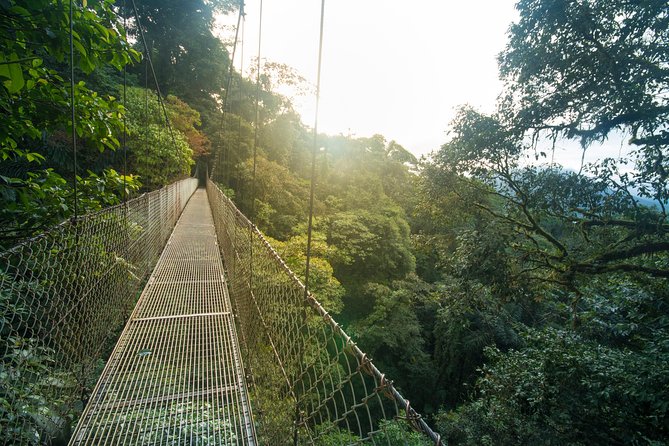 Arenal Hanging Bridges Hiking Tour - Crossing into the Arenal rainforest
