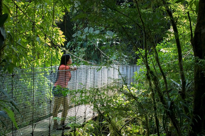 Arenal Hanging Bridges Hiking Tour - Why a guide makes a real difference