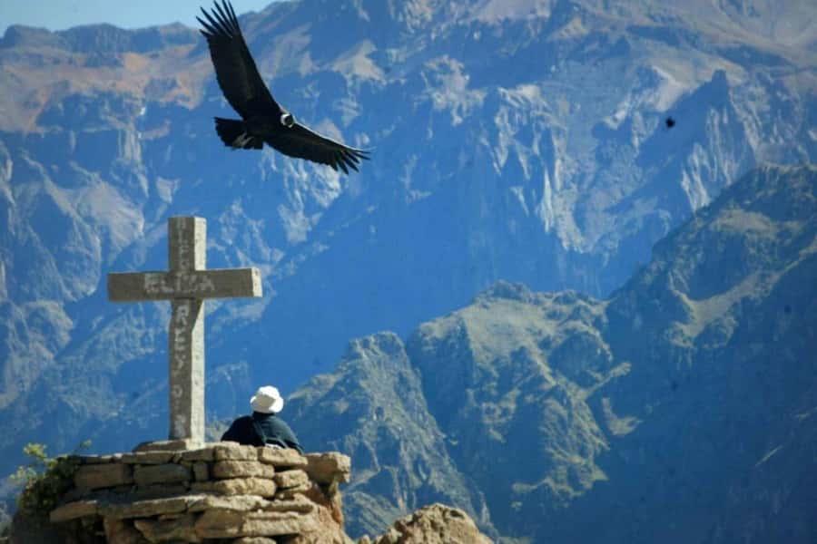 Arequipa: 1-Day Colca Canyon + Thermal Baths Tour - Key points to know before booking