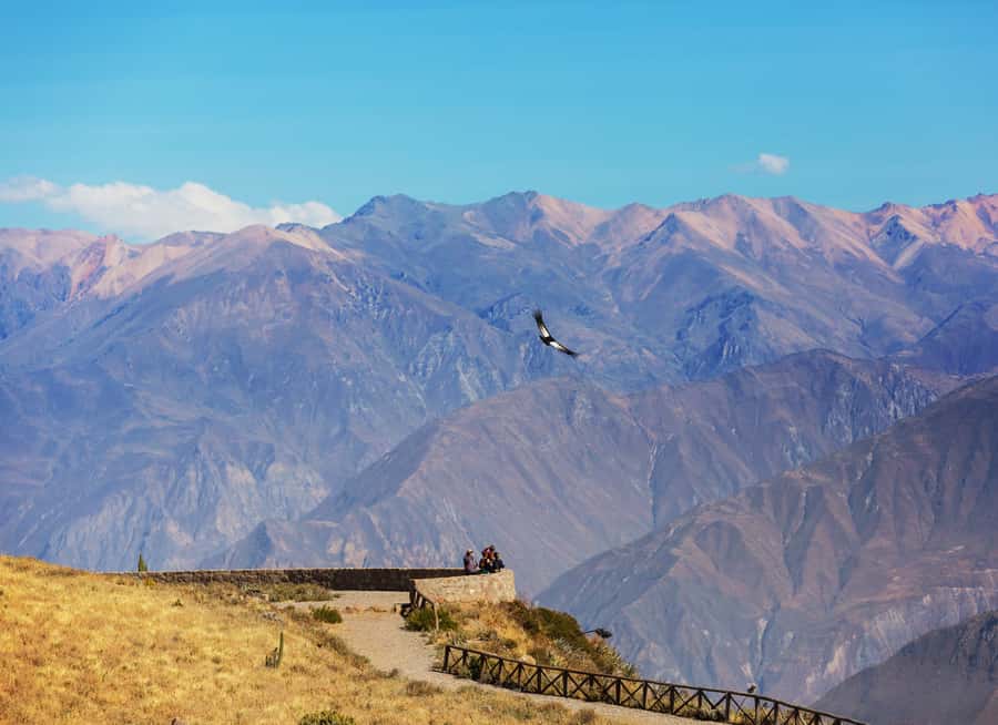 Arequipa: 2-Day Colca Canyon Classic Tour return to Arequipa - Chacapi thermal baths at 35 to 38 degrees