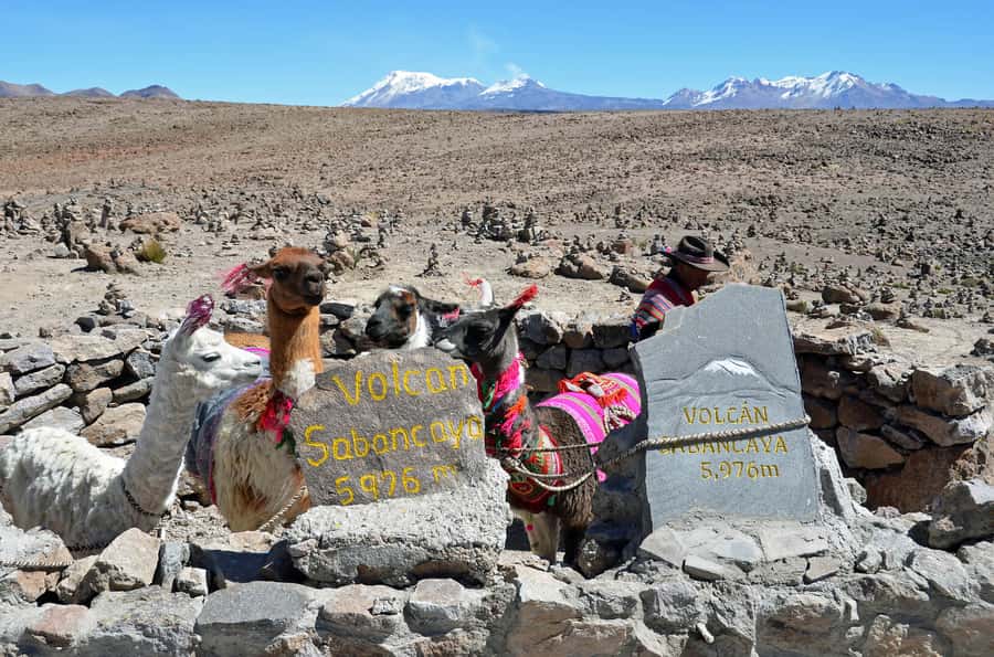 Arequipa: 2-Day Colca Canyon Classic Tour return to Arequipa - Returning to Arequipa or continuing to Puno