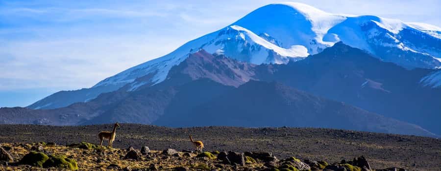 Arequipa | Ascent to Chachani Volcano 2 days / 1 night - Who should choose this climb