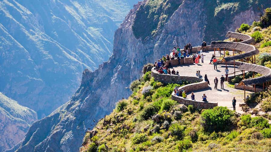 Arequipa: Fullday Colca Canyon + Lunch + Transfer to Puno - Key points to know before booking