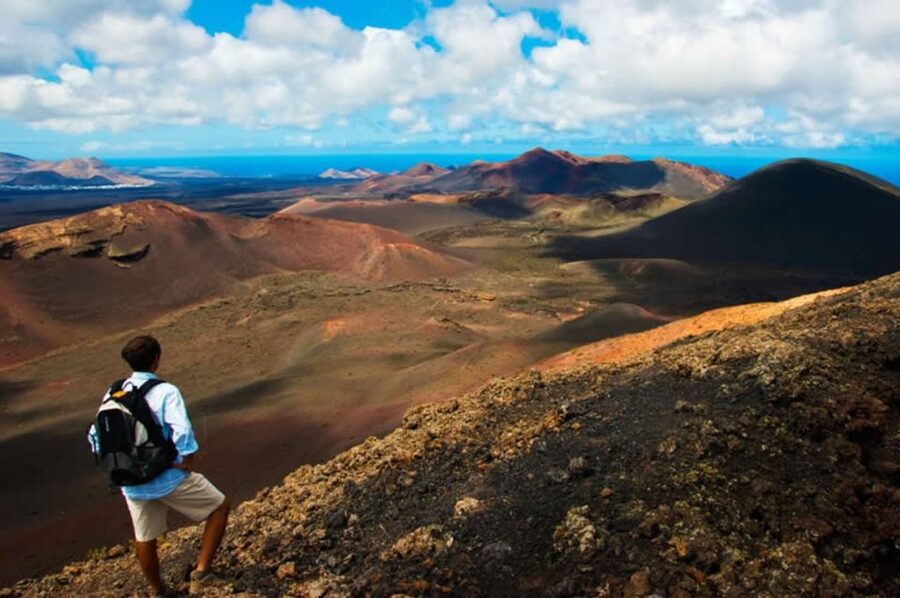 Arrecife/Playa Blanca: Timanfaya National Park Area Day Tour - Why Timanfaya is worth a full day