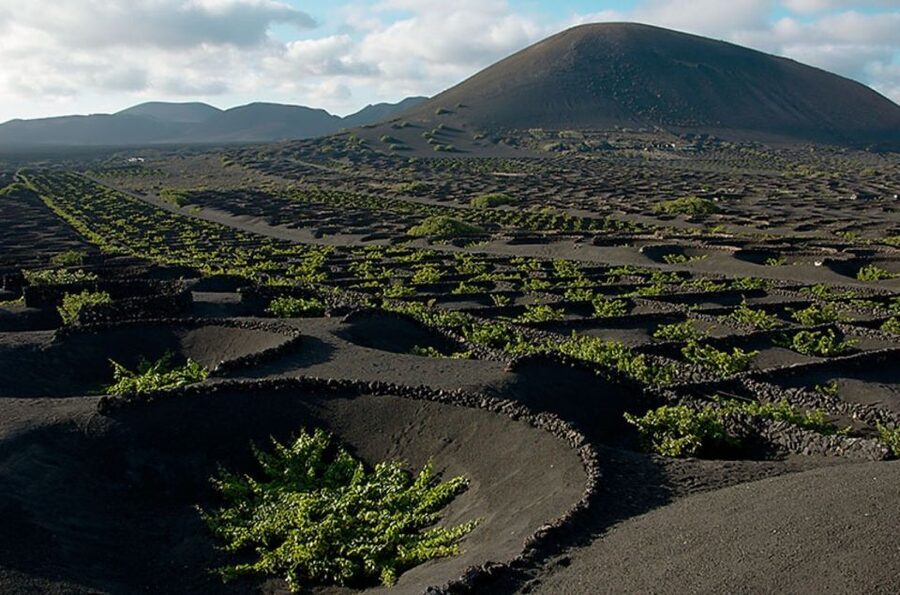 Arrecife/Playa Blanca: Timanfaya National Park Area Day Tour - El Golfo and the green water of Green Lake