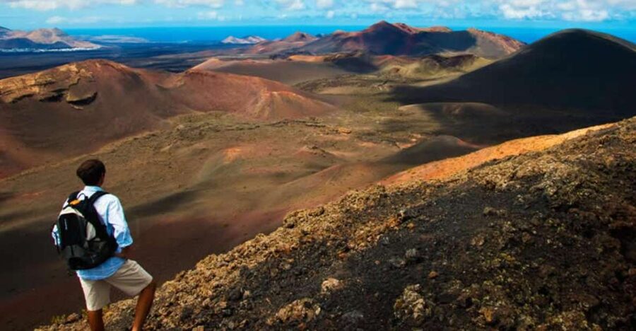 Arrecife/Playa Blanca: Timanfaya National Park Area Day Tour - The optional camel ride at El Camacho