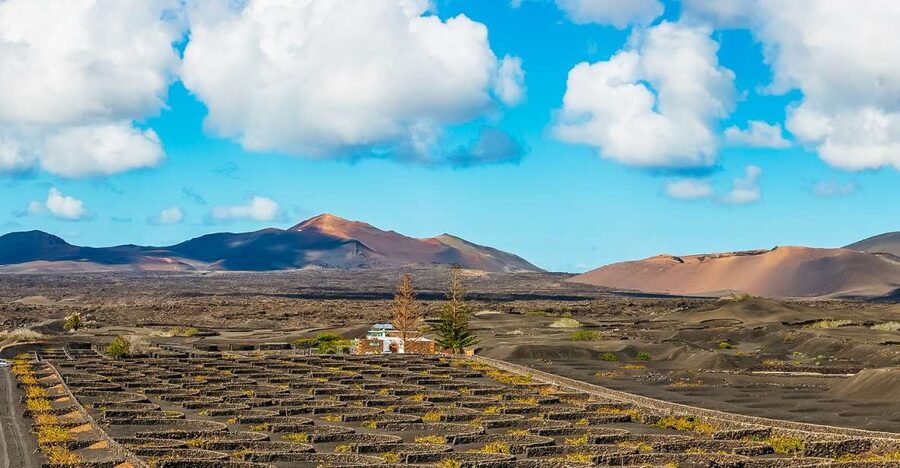 Arrecife: Timanfaya and Green Lagoon for Cruise Passengers - Key points to know before booking