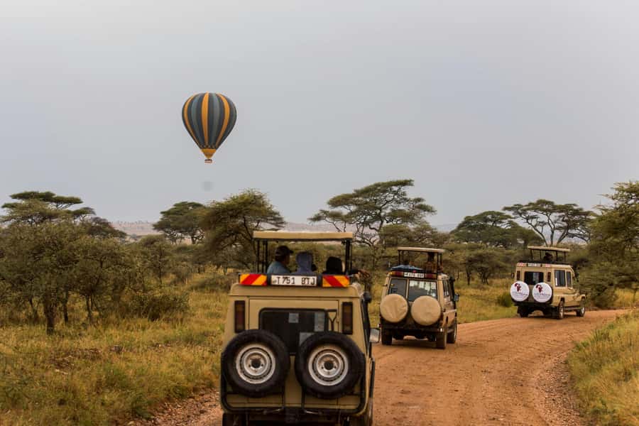 Arusha: 3-Day Serengeti & Ngorongoro Crater Big Five Safari - Day one: the long road from Arusha to the Serengeti