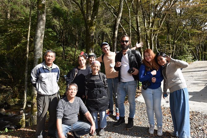 Aso Caldera and Farm Experience Tour - Seeing Aso from Daikanbo Lookout