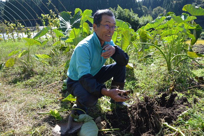 Aso Caldera and Farm Experience Tour - Timing, transport, and the slightly confusing duration