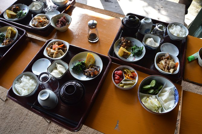 Aso Caldera and Farm Experience Tour - Fitness, weather, and what to bring