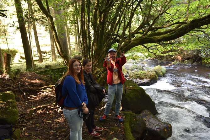 Aso Caldera and Farm Experience Tour - The value of the Aso caldera and farm combination