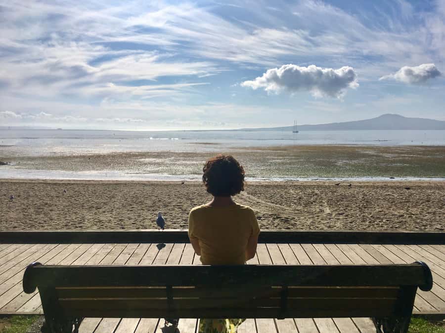 Auckland: Half-Day Auckland Volcanoes Tour - The 8am start from Queens Wharf
