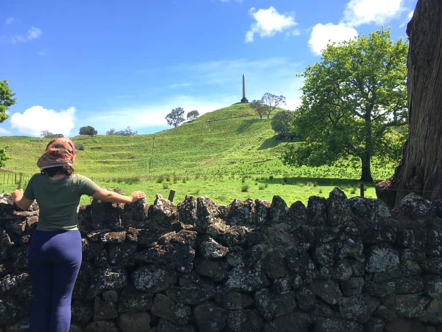 Auckland: Half-Day Auckland Volcanoes Tour - Is $113 a fair price?