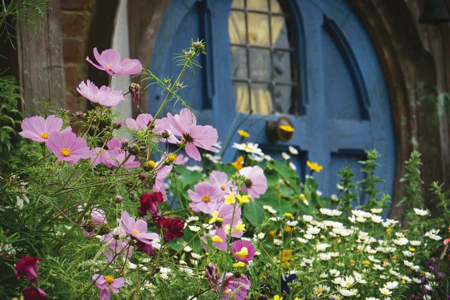Auckland: Hobbiton and Rotorua Day Tour including Te Puia - Key points to know before booking