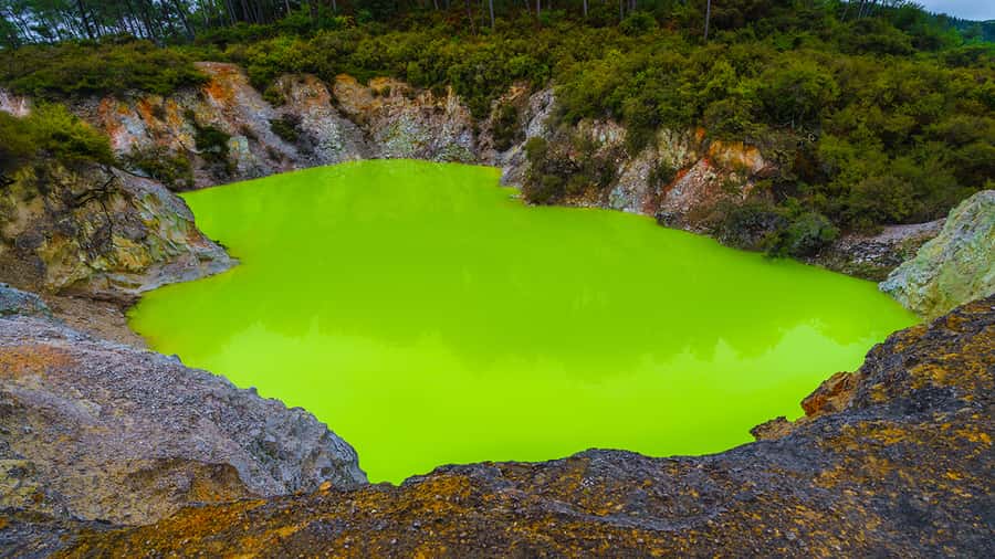 Auckland: Hobbiton, Rotorua and Wai-O-Tapu Day Tour - The 2.5-hour walk through Hobbiton