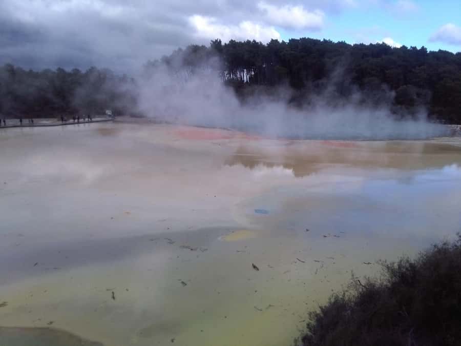 Auckland: Hobbiton, Rotorua, Waiotapu and Waitomo 3-Day Tour - Te Puia combines geothermal power and Maori culture