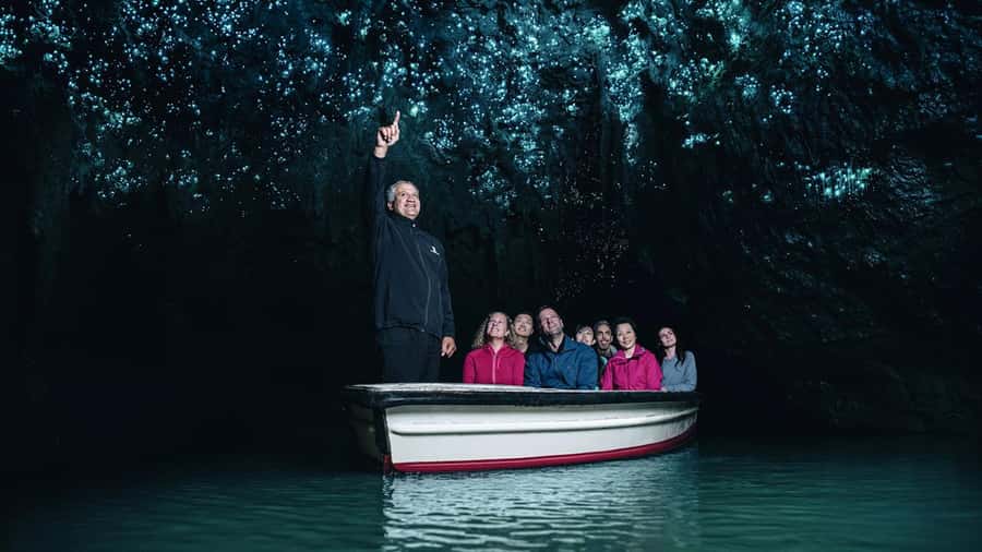 Auckland: Hobbiton, Waitomo Caves, and Rotorua 1-Way Tour - Who will enjoy this day most