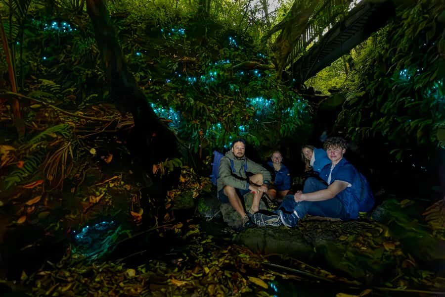 Auckland: Inner-City Glowworm Experience in Ancient Volcano - Meeting New Zealand glowworms beside the stream