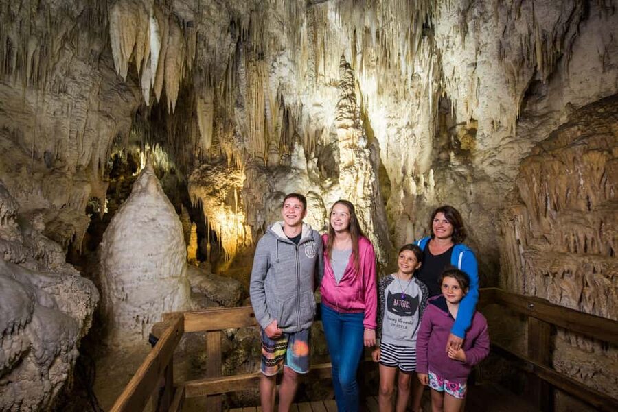 Auckland: One-Way Tour to Rotorua with Waitomo Caves - Key points to know before booking