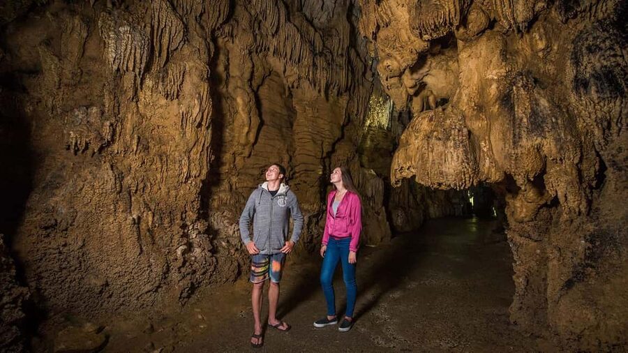 Auckland: One-Way Tour to Rotorua with Waitomo Caves - Why this transfer makes sense