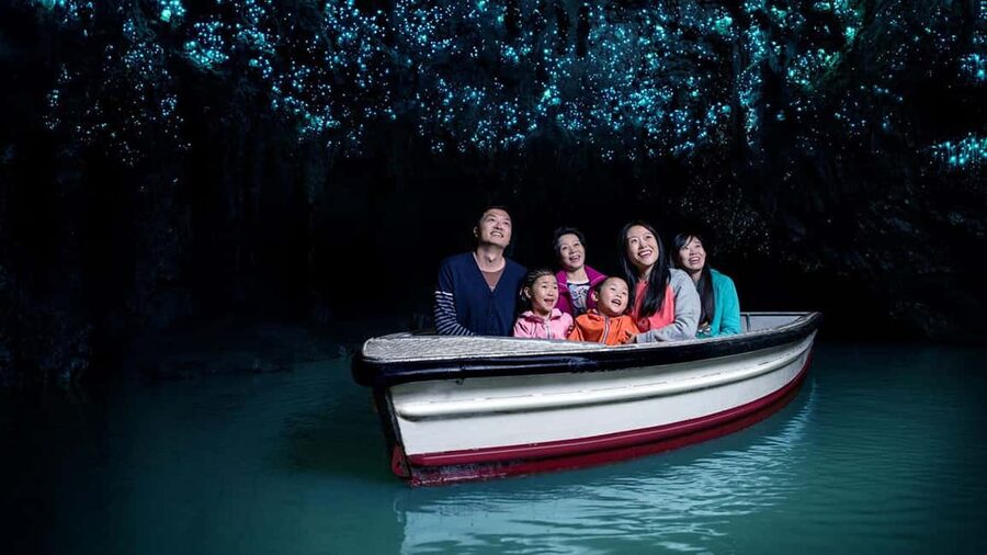 Auckland: One-Way Tour to Rotorua with Waitomo Caves - Should you book this Auckland to Rotorua tour?