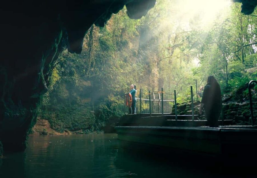 Auckland: One-Way Tour to Rotorua with Waitomo Caves - A small-group ride through the Waikato