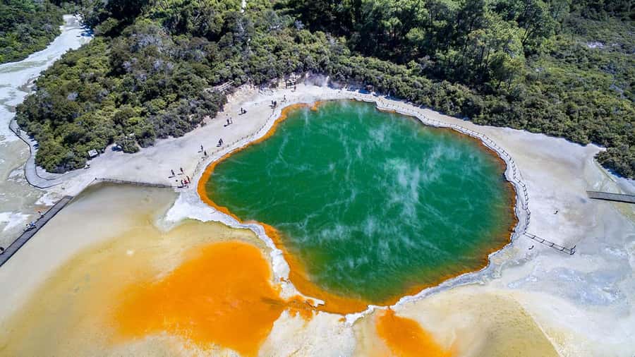 Auckland: Rotorua Highlights inc Wai O Tapu & Te Puia Tour - Walking through Wai-O-Tapu’s strange colors