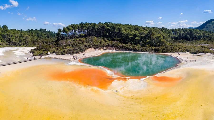 Auckland: Rotorua Highlights inc Wai O Tapu & Te Puia Tour - Who should book this Rotorua tour?