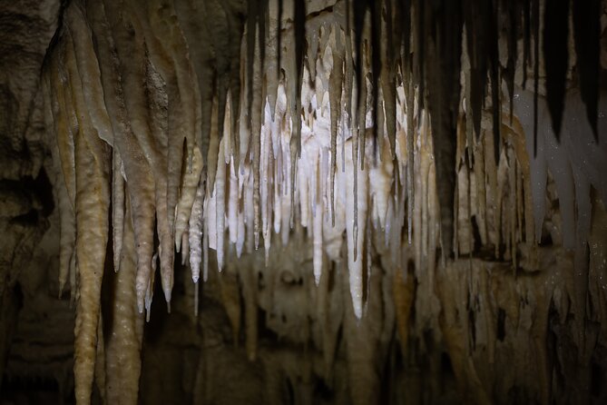 Auckland: Rotorua Māori Village, Waitomo Caves & Lunch - Lunch beside Rotorua’s geothermal ground